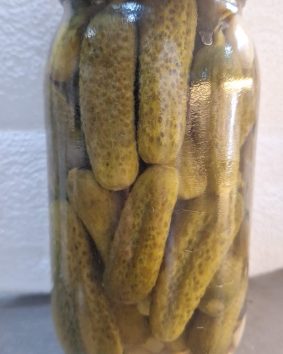 Ev yapımı kornişon salatalık turşusu 1 lt